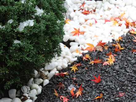 石邸富良野 写真