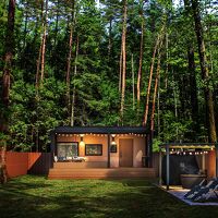 ふじ ふもとの森 写真