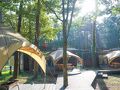 森と湖の楽園 Work Shop Camp Resort 写真