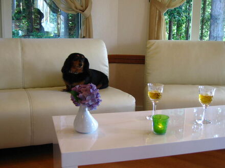 ペンション　クローバー　リーフ 写真