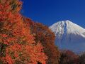 箱根ゲストハウス toi 写真