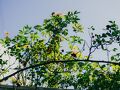Private Villa 2661 写真