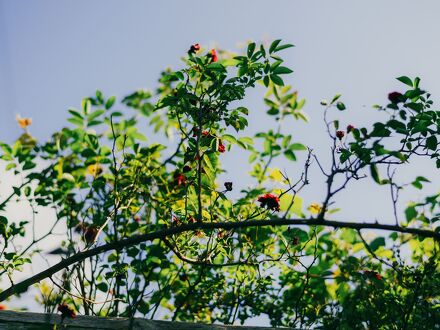 Private Villa 2661 写真