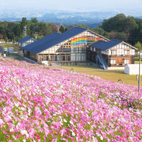 夢の平コスモス荘 写真