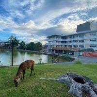 ホテル天平ならまち 写真