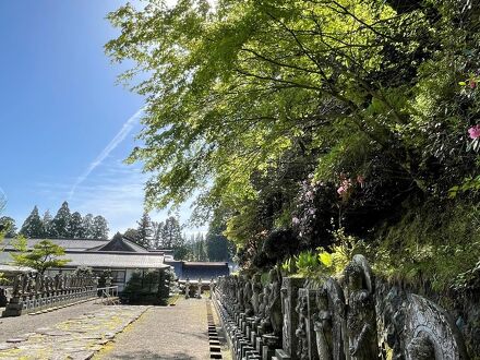 高野山　持明院 写真