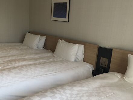 Tマークシティホテル東京大森 写真