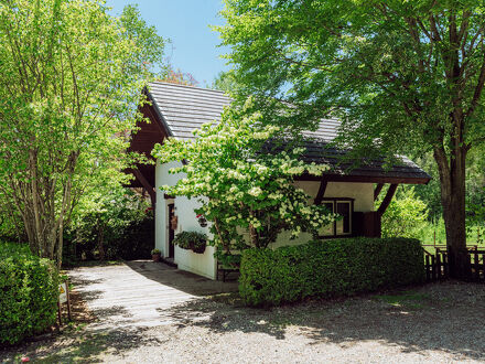 BAUM COLLECTION 写真