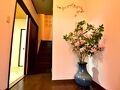常盤庵 写真