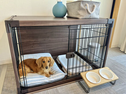 slow glamping 風と海と 写真