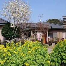 写真：楽天トラベル