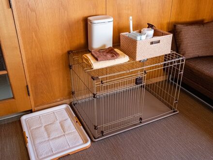 リブマックスリゾート伊豆高原テラス&スパ 写真