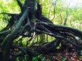ペンション花海月 写真