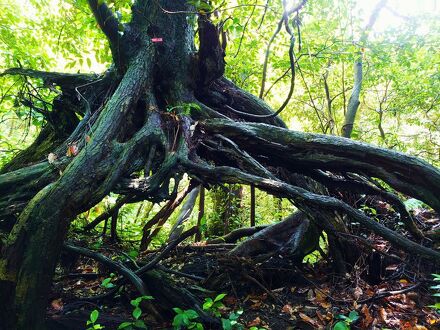 ペンション花海月 写真
