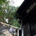 柚子屋旅館 写真