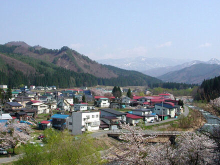 小野川温泉　宝寿の湯 写真