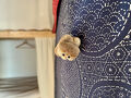 Mad Cat Hostel Osaka 写真