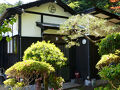 Bamboo Village バンブーヴィレッジ 写真