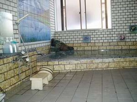 尾瀬戸倉温泉　平人（ひらんど）旅館 写真