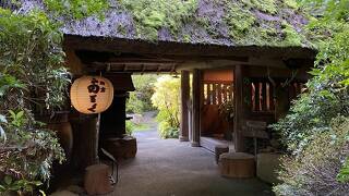由布院温泉 湯布院旅館のぎく
