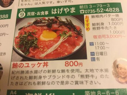 民宿はげやま 写真