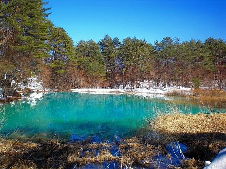 リゾートインみちのく 写真