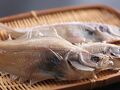 四季の宿 汐騒 写真