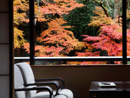 山中温泉 花紫 写真