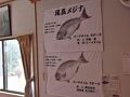 ビーチタイム ＜八丈島＞ 写真