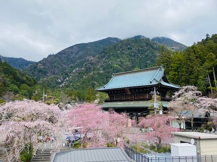 身延山三門前 旅館 田中屋 写真