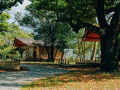 ASOHIMA PICNIC CLUB FOREST CAMP AREA 写真