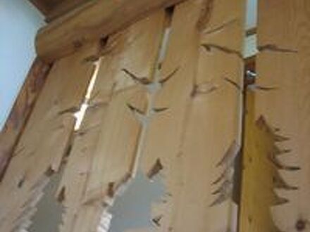 ペンション木になる家 写真