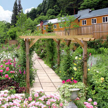 写真：楽天トラベル