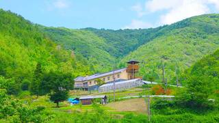 あゆ公園 ペンション翡翠＆古民家風コテージ