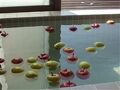 ペンション いちばん星＜群馬県＞ 写真
