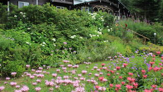 信州・峰の原　ペンション　ガーデンストーリー