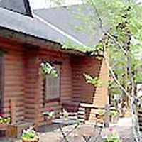 星の降る森 写真