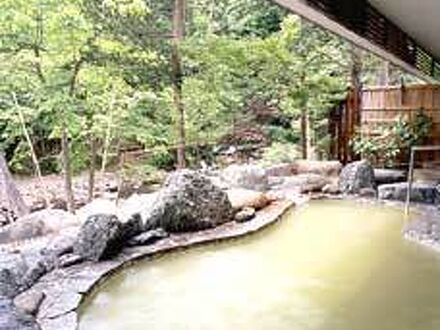 塩原元湯温泉　秘湯の宿　元泉館 写真