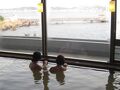 桜島マグマ温泉 国民宿舎 レインボー桜島 写真