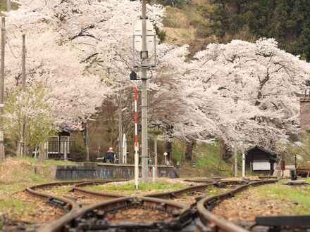 温泉民宿　赤ひげ 写真