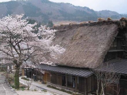 白川郷　民宿　大田屋 写真