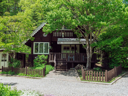 BAUM COLLECTION 写真