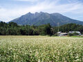 ペンション　根子岳　山想 写真