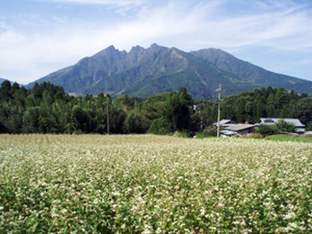ペンション　根子岳　山想 写真