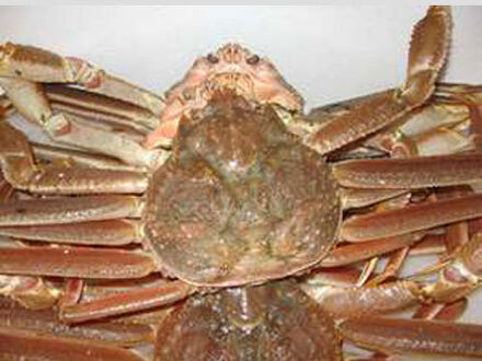 末広旅館 <新潟県> 写真