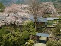 仙石原温泉 仙郷楼 写真