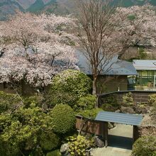 写真：楽天トラベル