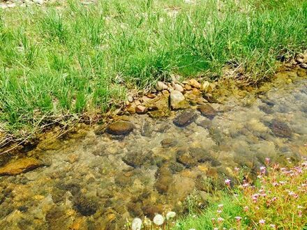おふろ好きの宿　旅館　しゃくなげ荘 写真