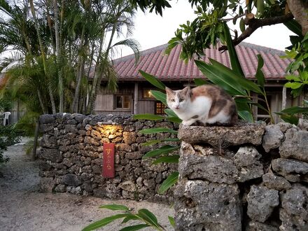 一日一組の宿　すかぶら　＜竹富島＞ 写真