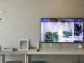 HOTEL 385 写真